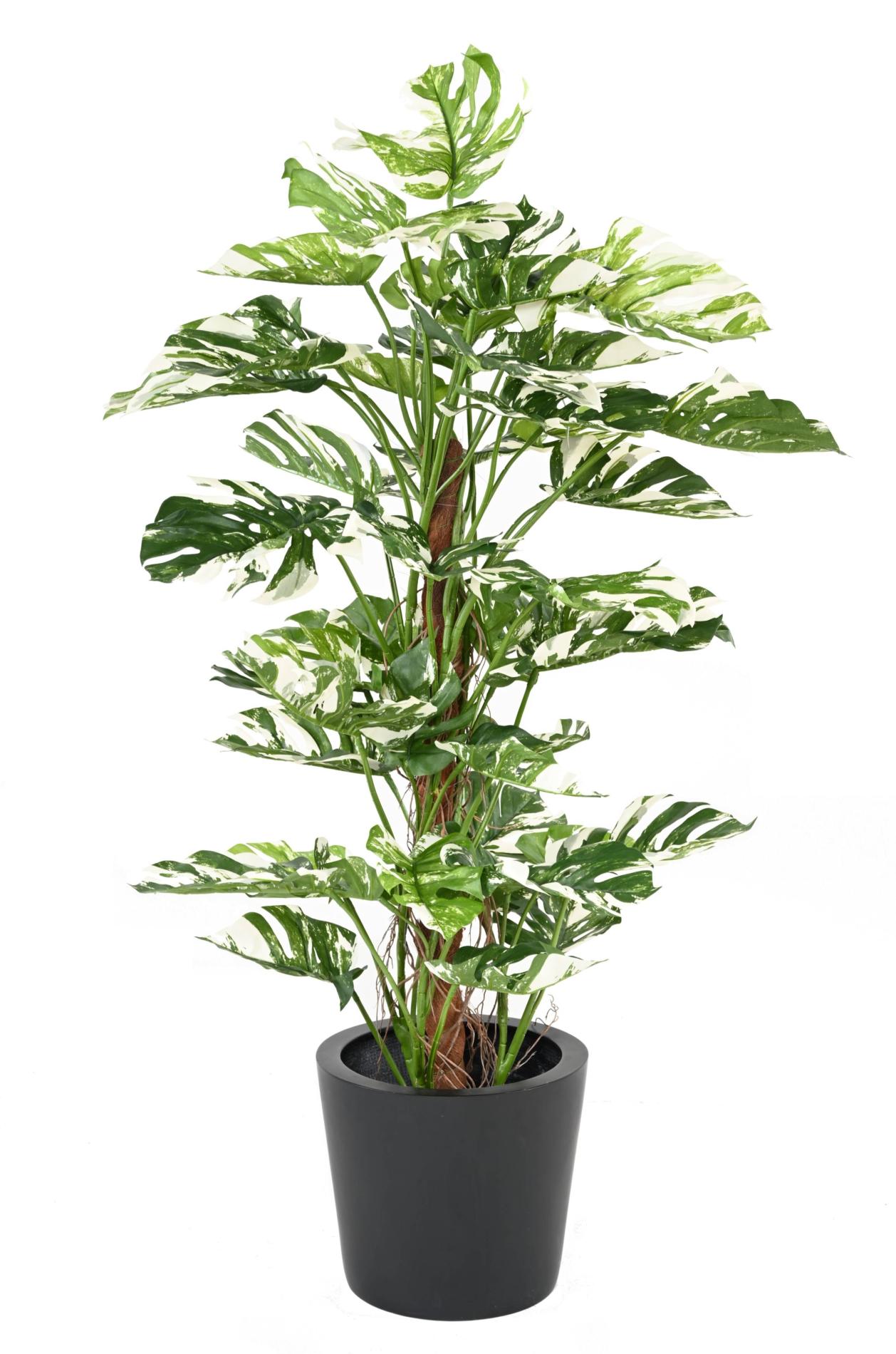 Plante artificielle Philodendron tuteur coco - plante d'intérieur - H.160cm panaché