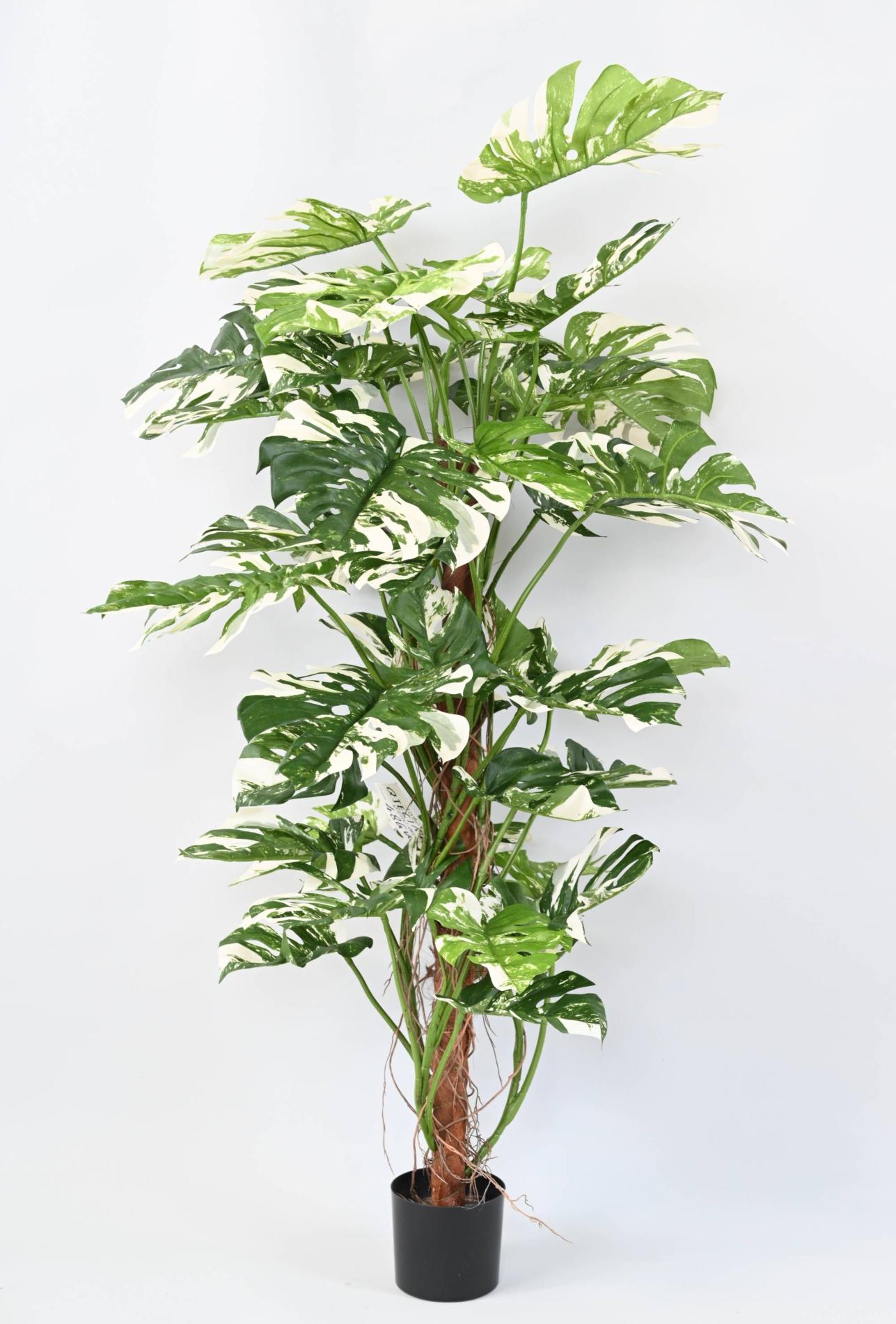 Plante artificielle Philodendron tuteur coco - plante d'intérieur - H.160cm panaché