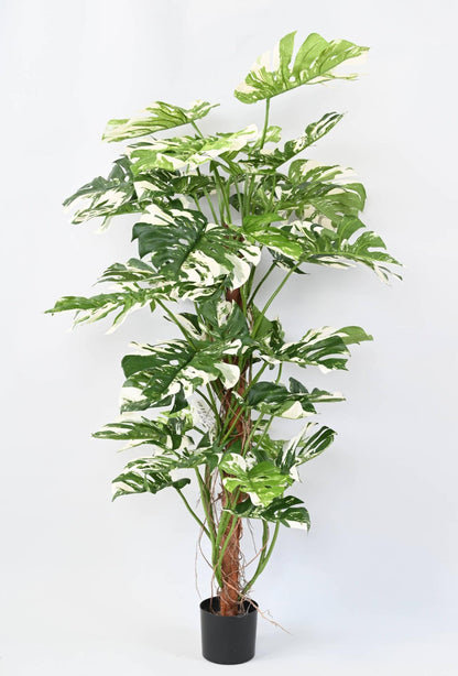 Plante artificielle Philodendron tuteur coco - plante d'intérieur - H.160cm panaché