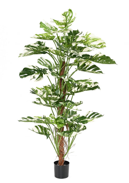 Plante artificielle Philodendron tuteur coco - plante d'intérieur - H.160cm panaché