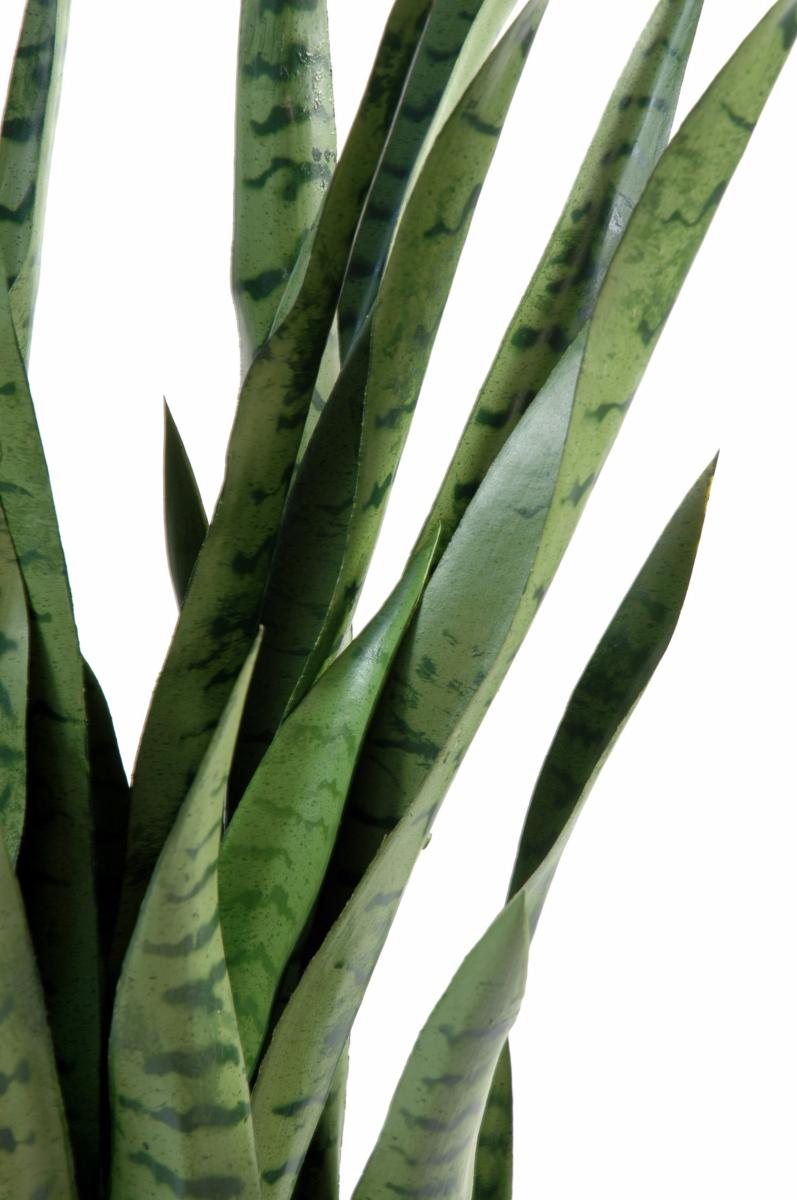 Plante artificielle Sansevieria 30 Feuilles - succulente pour intérieur - H. 110cm vert