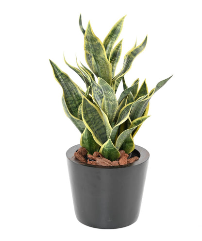 Plante artificielle Sansevieria Masoniana - décoration d'intérieur - H.66cm vert jaune