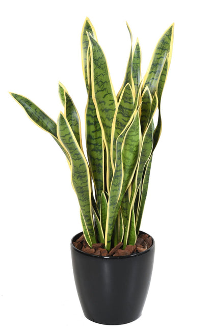 Plante artificielle Sansevieria large - décoration d'intérieur - H.93cm vert jaune