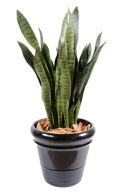 Plante artificielle Sansevieria large - décoration d'intérieur - H.93cm vert