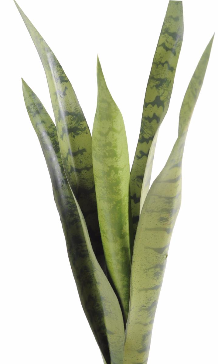 Plante artificielle Sansevieria piquet - succulente pour intérieur - H. 60cm vert