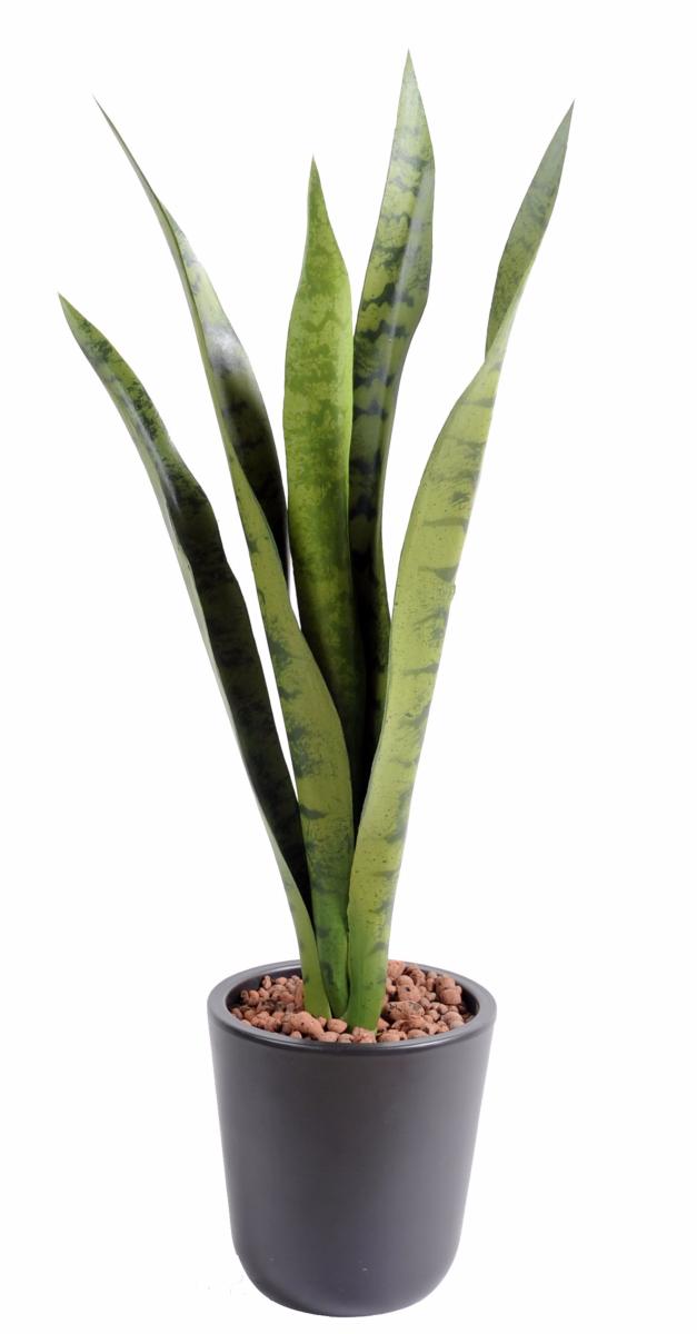 Plante artificielle Sansevieria piquet - succulente pour intérieur - H. 60cm vert