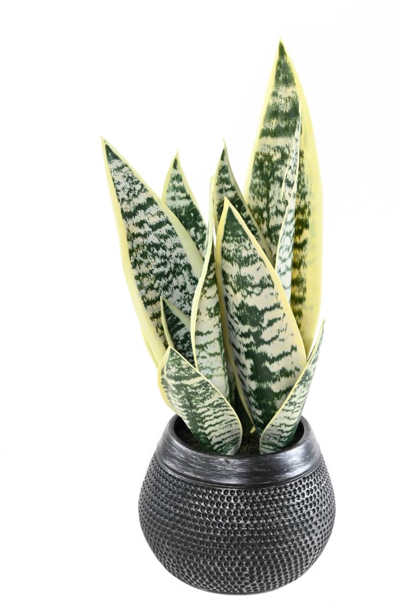 Plante artificielle Sansevieria pot décoratif - succulente pour intérieur - H.49cm panaché