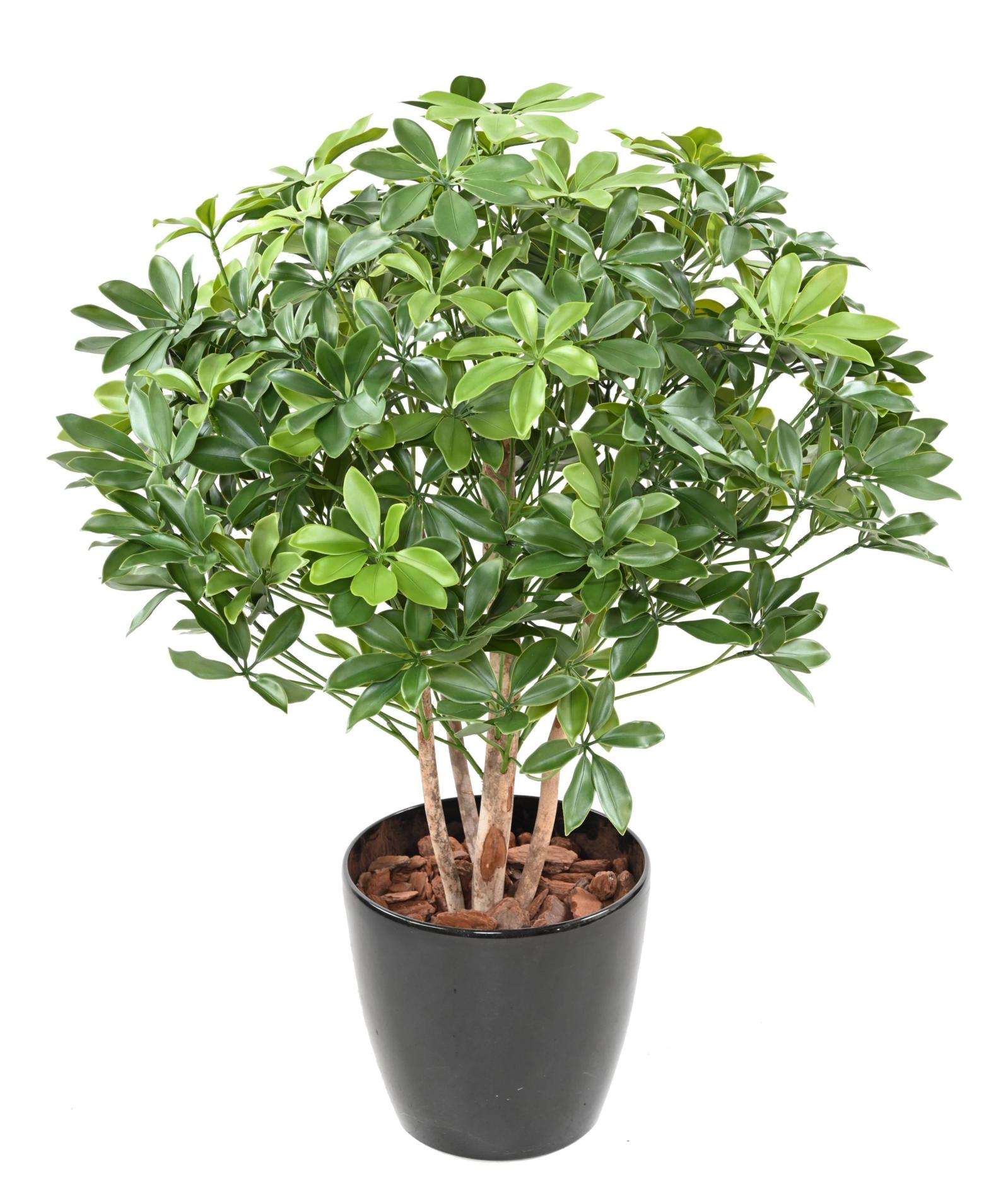 Plante artificielle Schefflera buisson plastique UV - intérieur extérieur - H.90cm