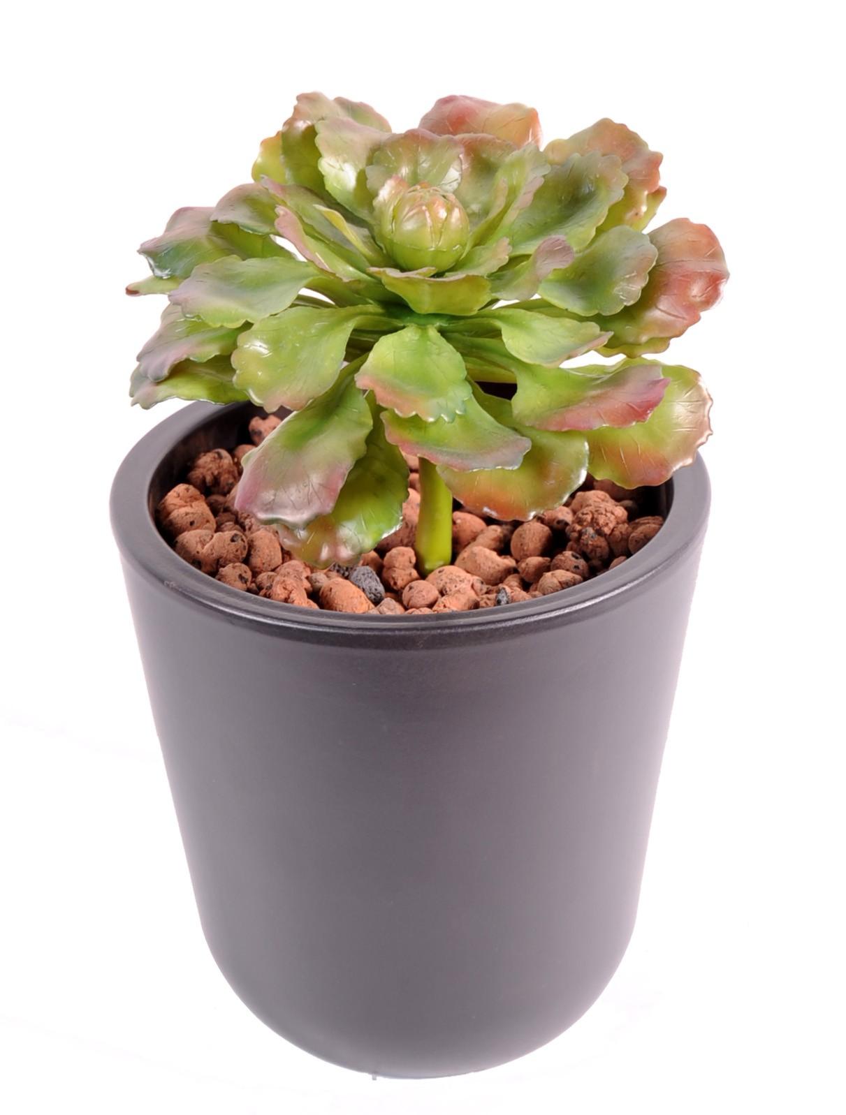 Plante artificielle Succulente - Plante grasse d'intérieur - H.19cm