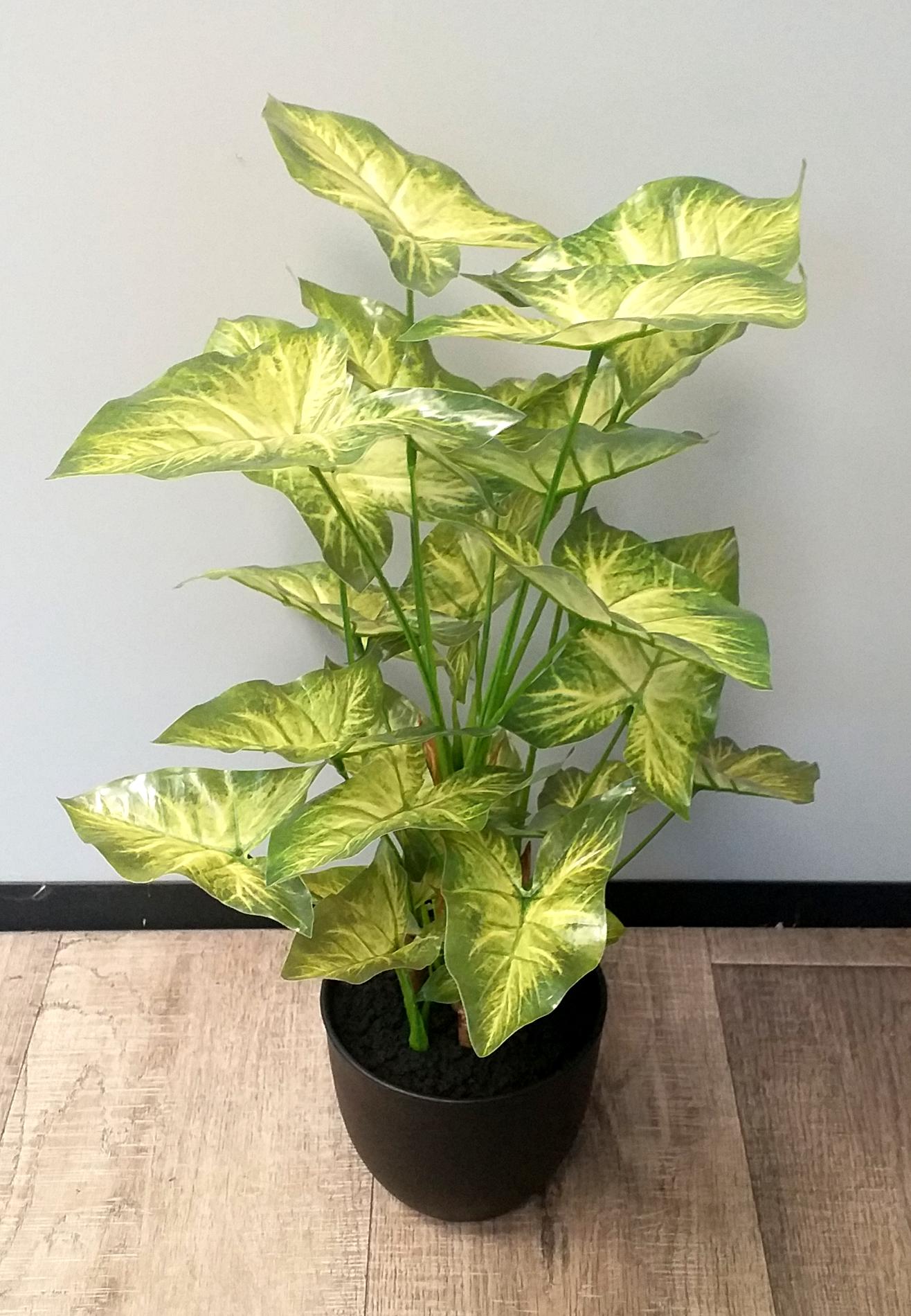 Plante artificielle Syngonium en pot - décoration d'intérieur - H.50cm vert clair