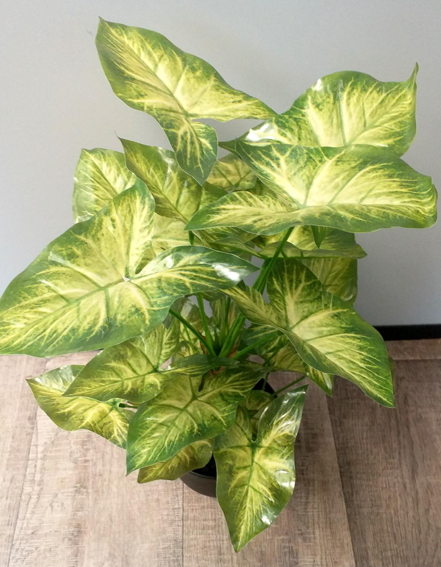 Plante artificielle Syngonium en pot - décoration d'intérieur - H.50cm vert clair