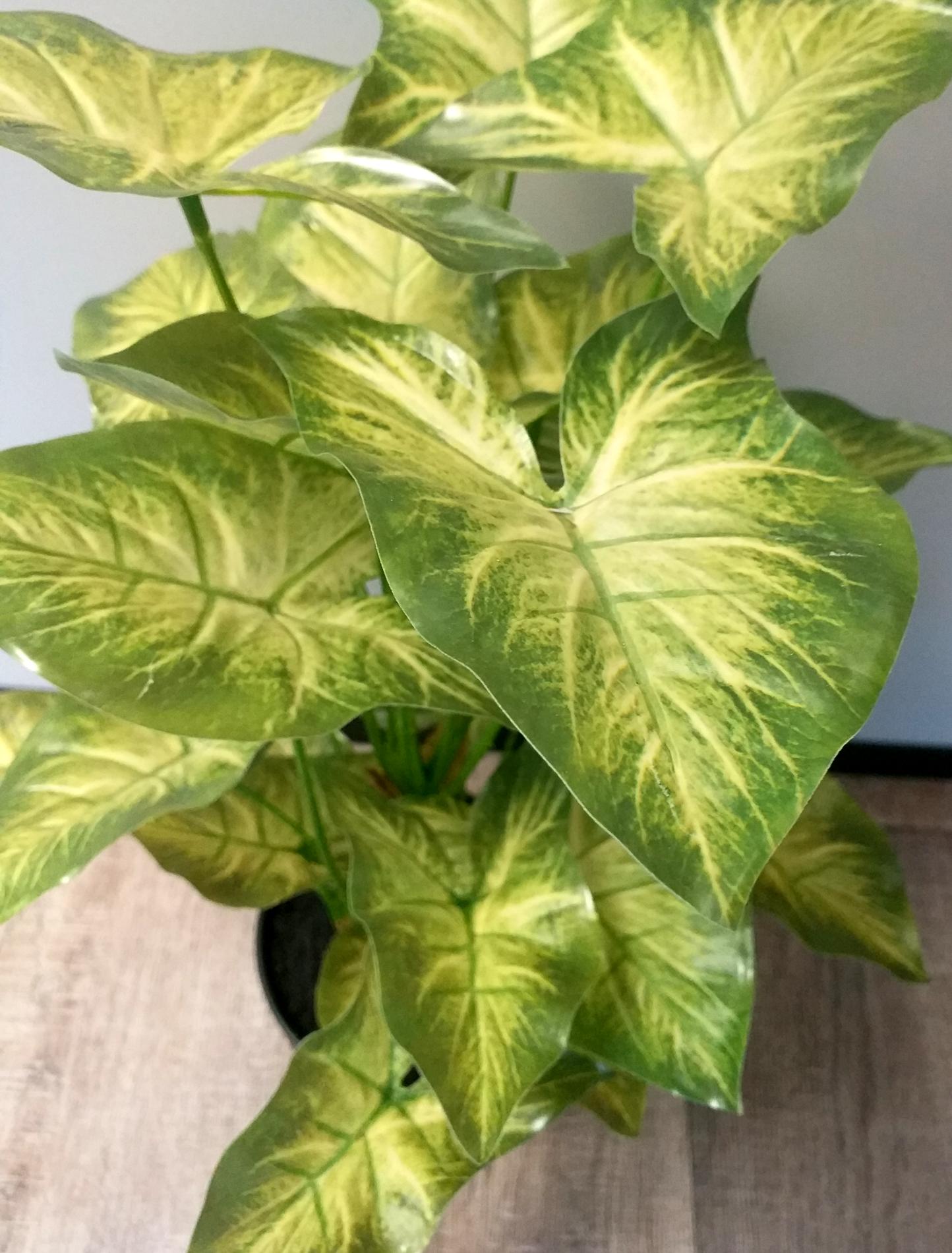 Plante artificielle Syngonium en pot - décoration d'intérieur - H.50cm vert clair