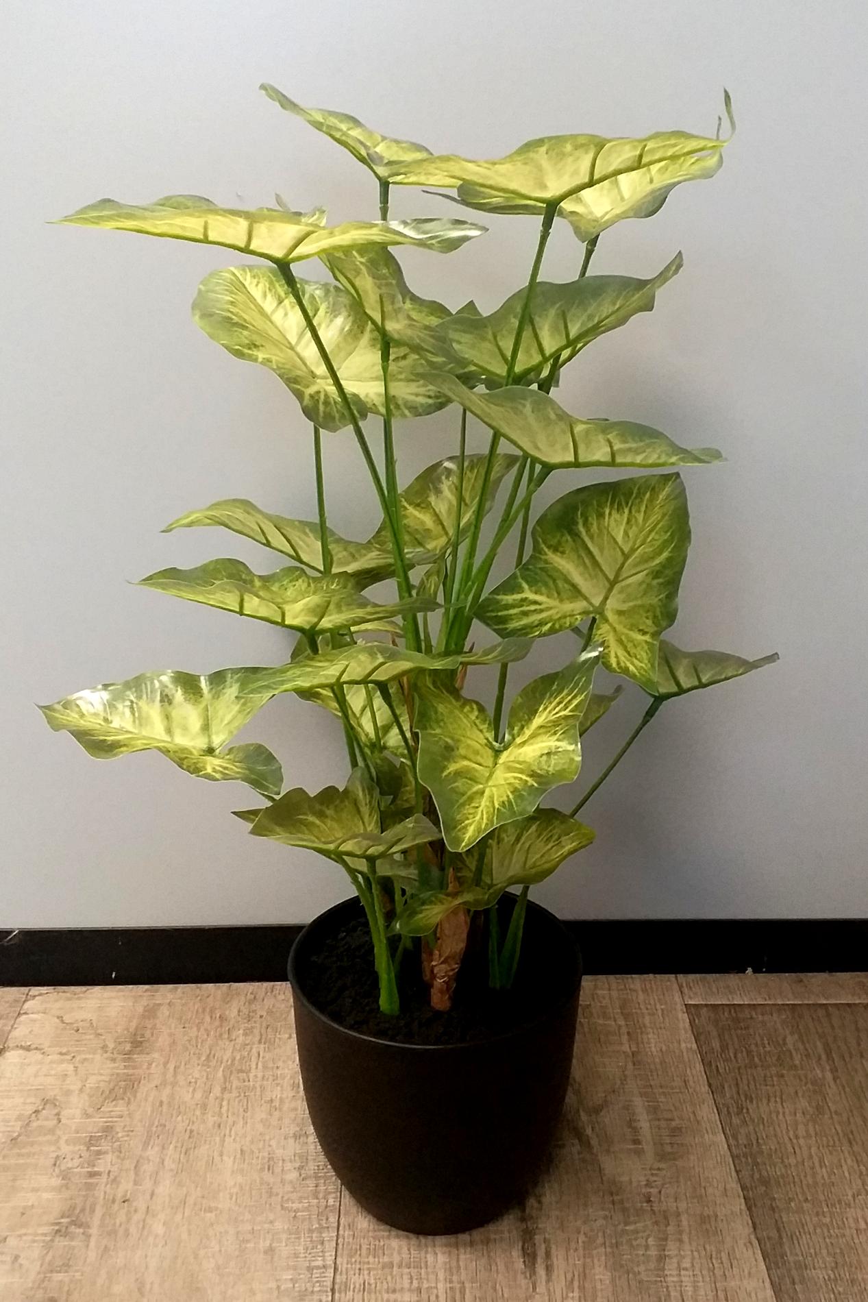 Plante artificielle Syngonium en pot - décoration d'intérieur - H.50cm vert clair