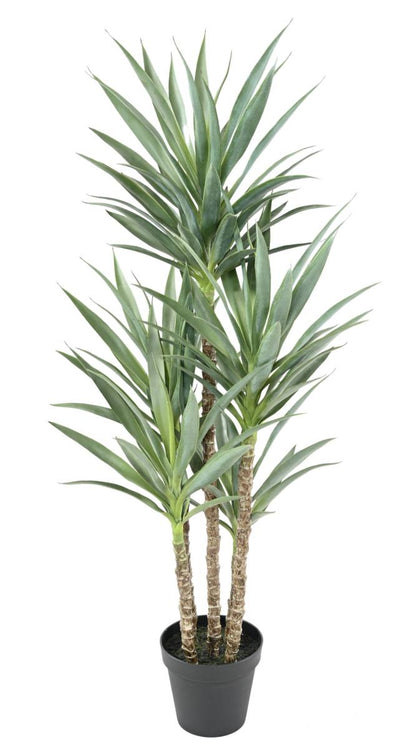 Plante artificielle Yucca Rapier 5 tiges - décoration pour intérieur - H.150cm