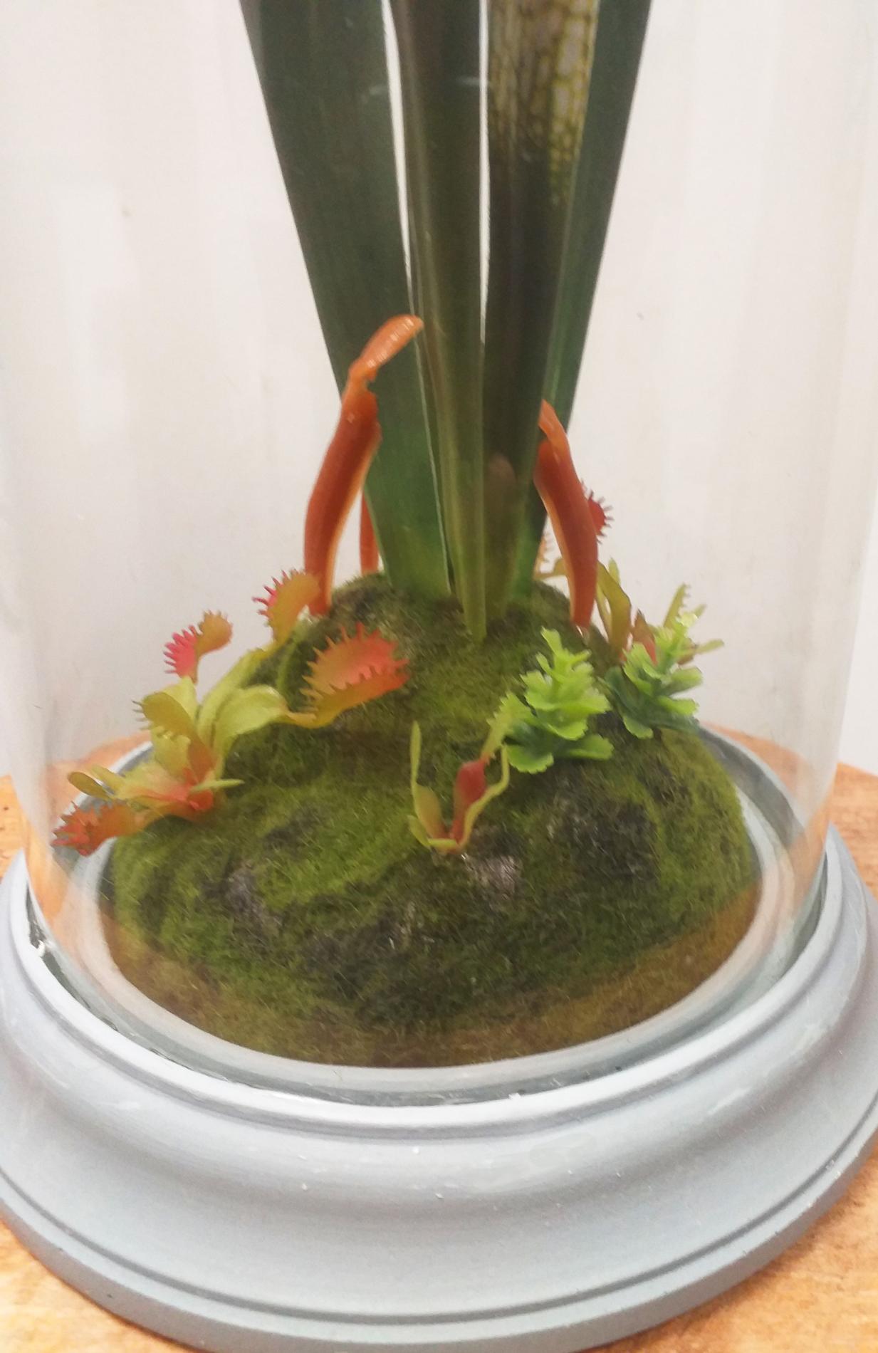 Plante artificielle carnivore sous cloche en verre - déco intérieur - H.46cm vert