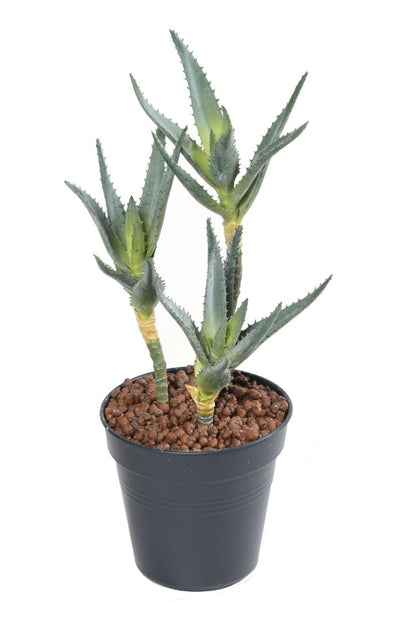 Plante artificielle Aloe en piquet set de 3 - cactus artificiel - H.35cm vert