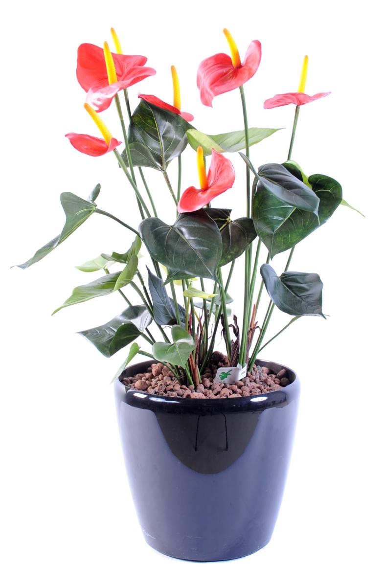 Plante artificielle fleurie Anthurium en pot - décoration d'intérieur - H.50cm rouge