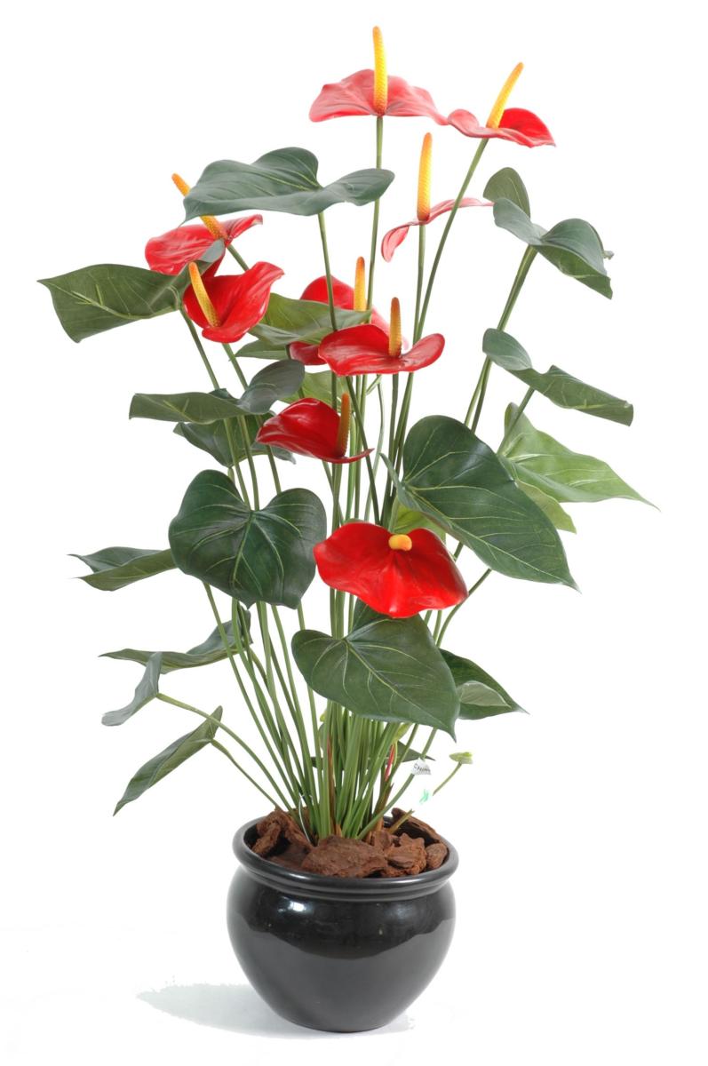 Plante artificielle fleurie Anthurium en pot - décoration d'intérieur - H.75cm rouge