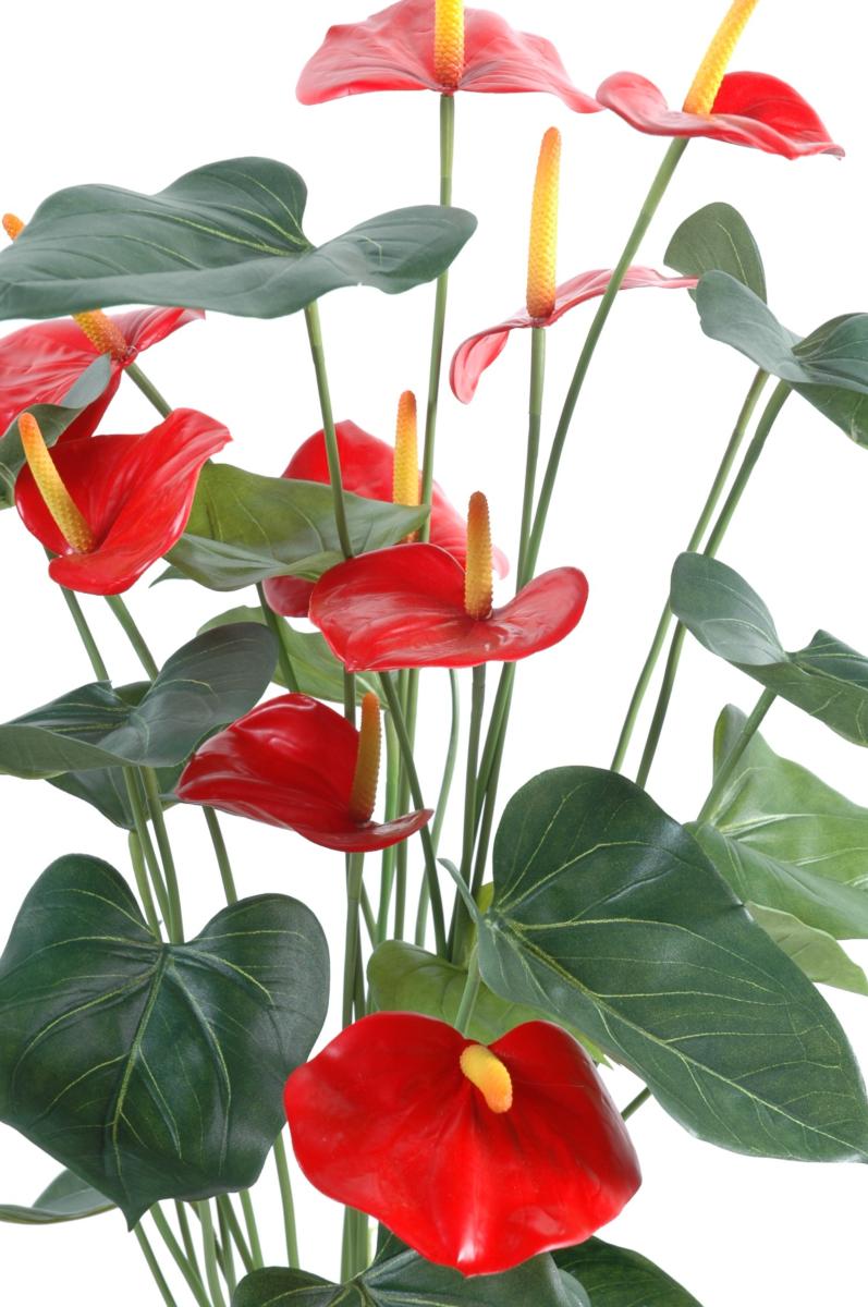 Plante artificielle fleurie Anthurium en pot - décoration d'intérieur - H.75cm rouge