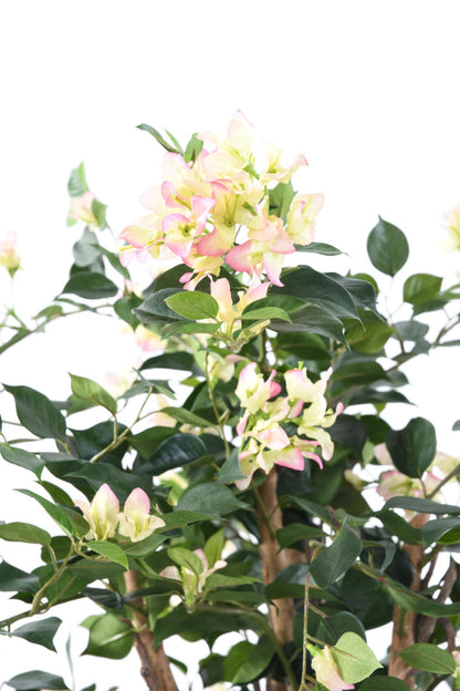 Plante artificielle fleurie Bougainvillier - arbre semi-naturel d'intérieur - H.150cm blanc rose