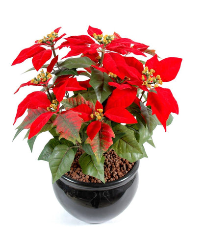 Plante artificielle fleurie Poinsettia - plante en piquet - H.40cm rouge