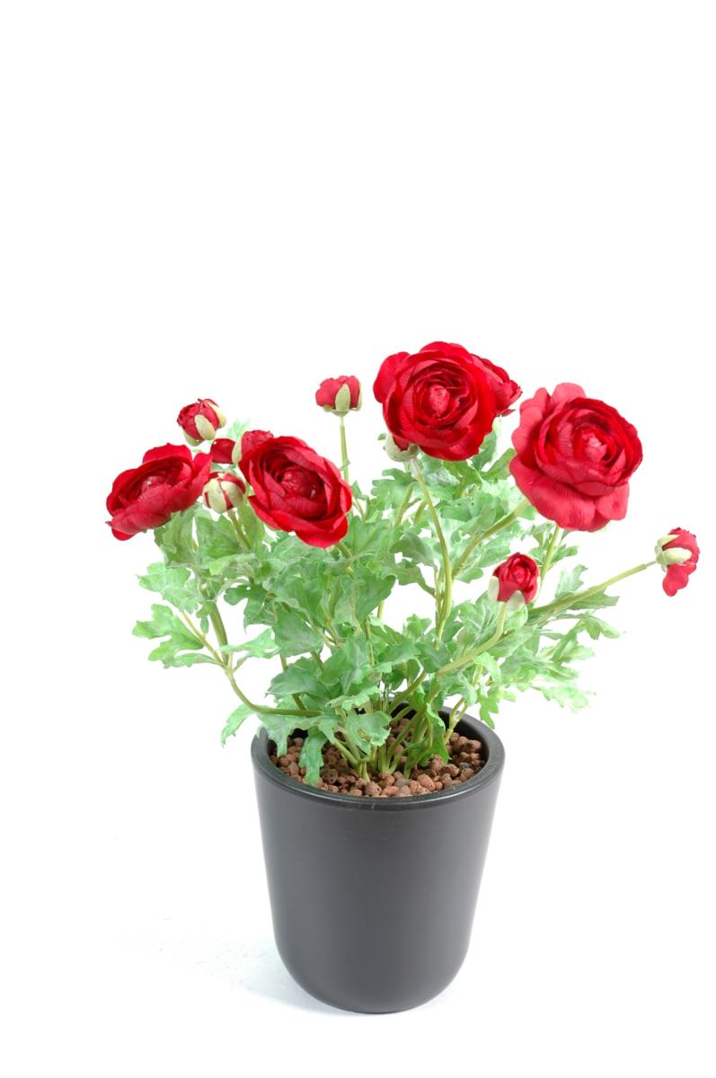 Plante artificielle fleurie - Renoncule rouge en piquet - H.38 cm rouge