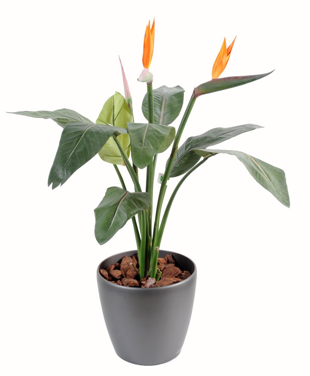 Plante artificielle fleurie Strelitzia 2 fleurs - décoration intérieure - H.85cm