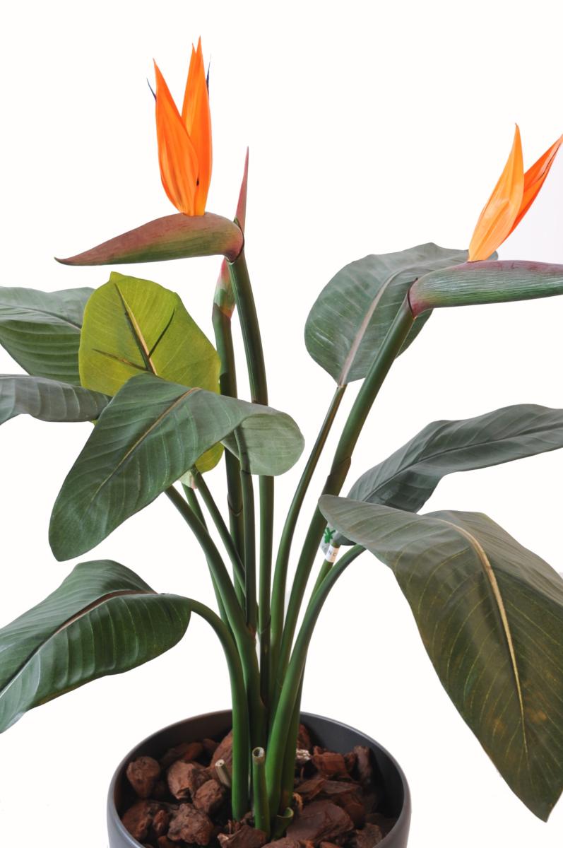 Plante artificielle fleurie Strelitzia 2 fleurs - décoration intérieure - H.85cm