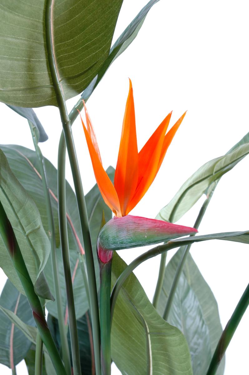 Plante artificielle fleurie Strelitzia 3 fleurs - décoration d'intérieur - H.150cm