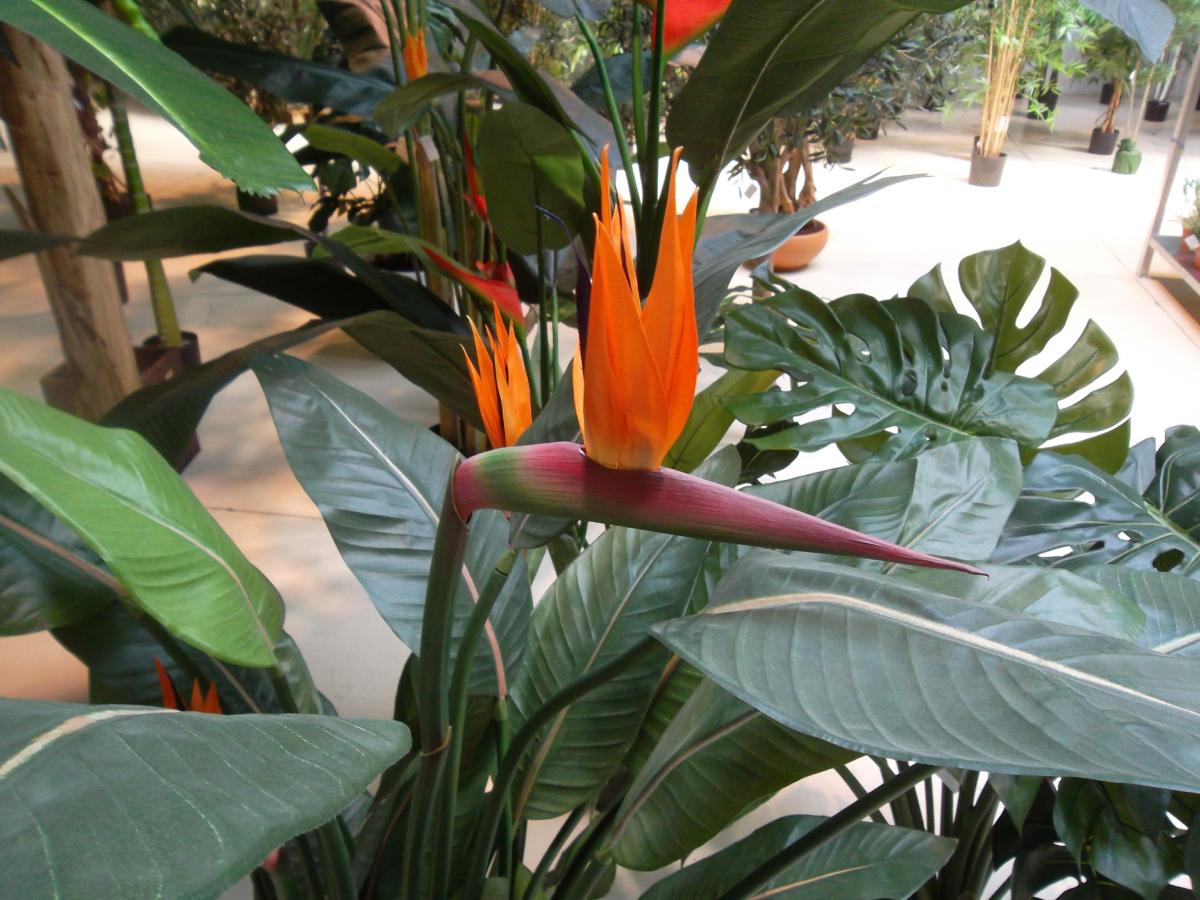 Plante artificielle fleurie Strelitzia 3 fleurs - décoration d'intérieur - H.150cm