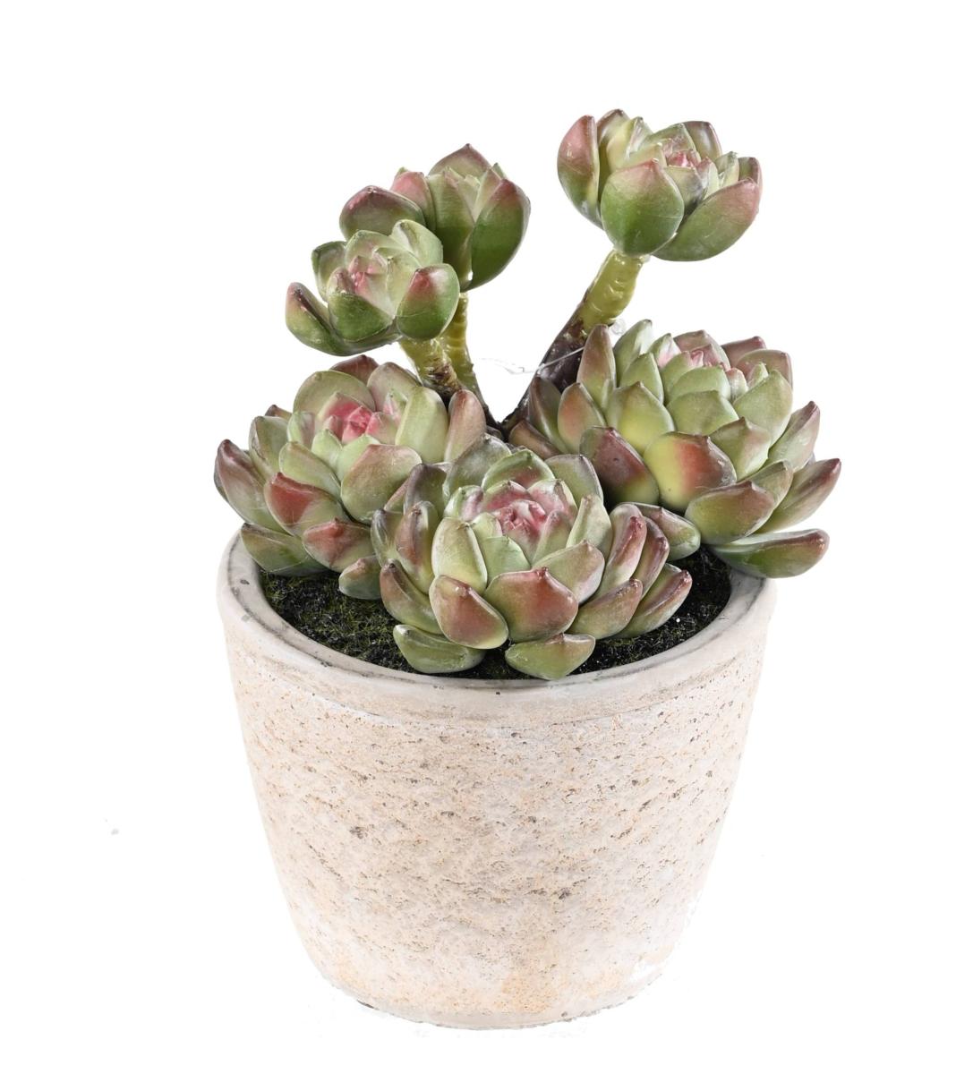 Plante artificielle succulente en pot - plante synthétique d'intérieur - H.18cm