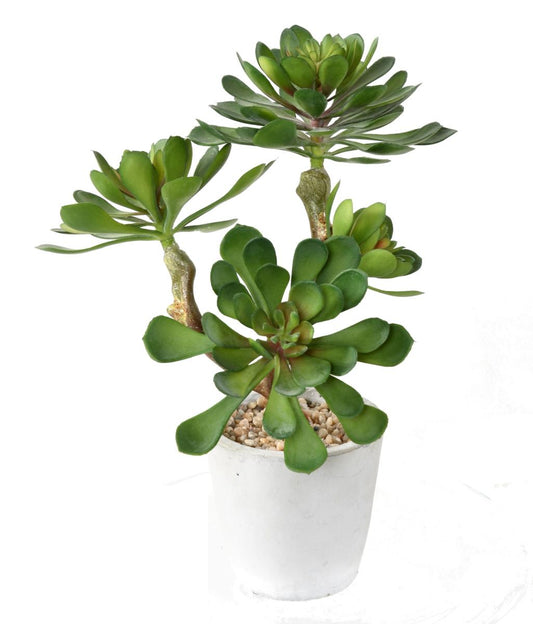 Plante artificielle succulente en pot - plante synthétique d'intérieur - H.30cm