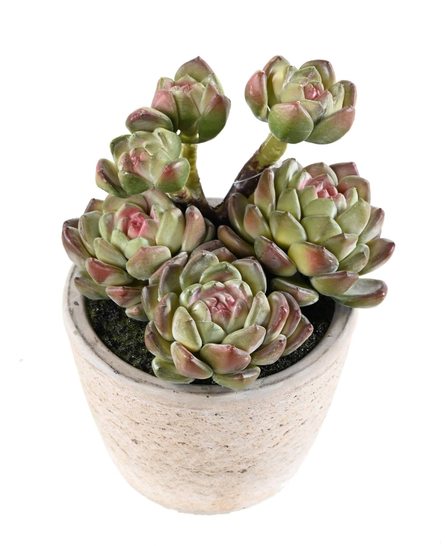 Plante artificielle succulente en pot - plante synthétique d'intérieur - H.18cm