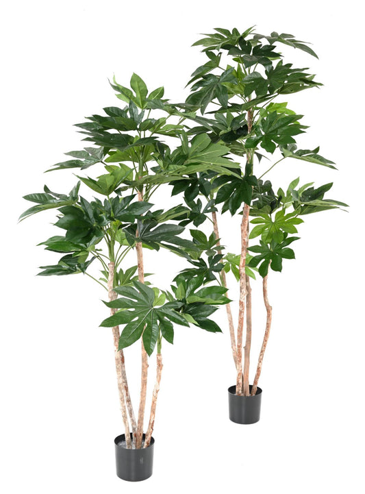 Plante artificielle tropicale Fatsia Japonica - décoration d'intérieur - H.180cm