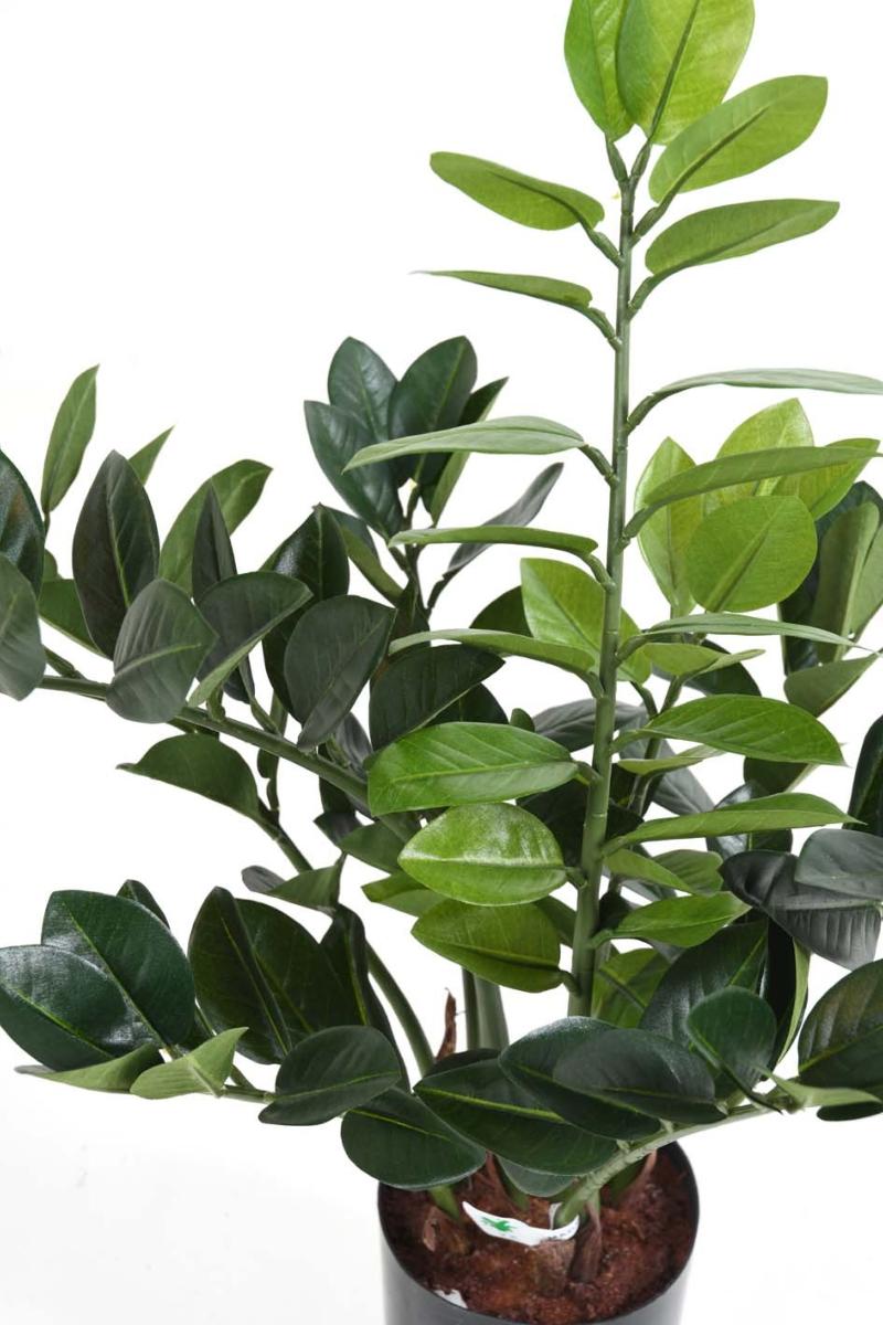 Plante artificielle verte Zamioculcas - décoration pour intérieur - H.60cm