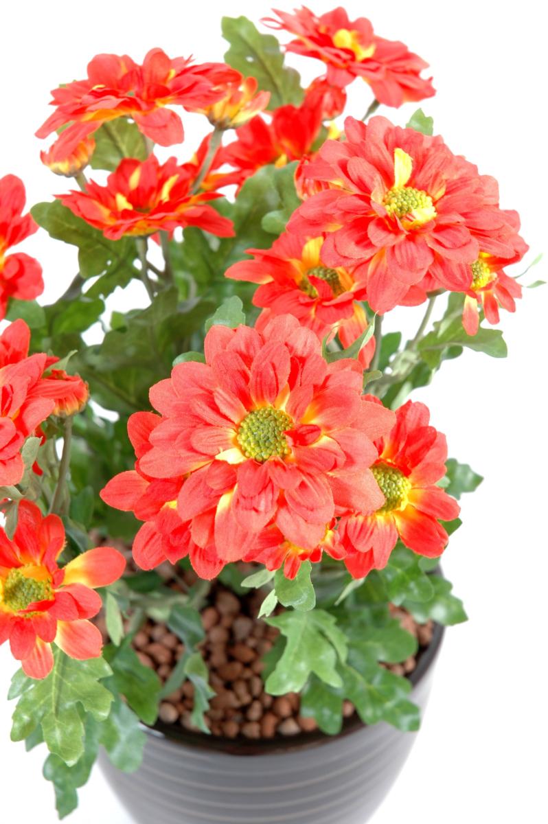 Plante fleurie artificielle Chrysanthème mini en piquet - décoration intérieure - 25cm rouge