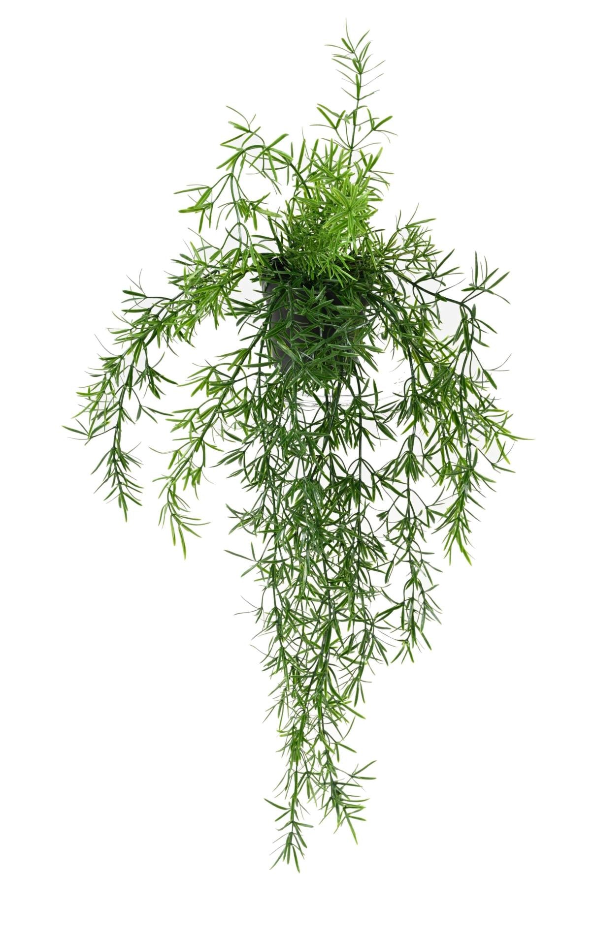 Plante retombante artificielle Asparagus en pot - intérieur extérieur - H.55cm