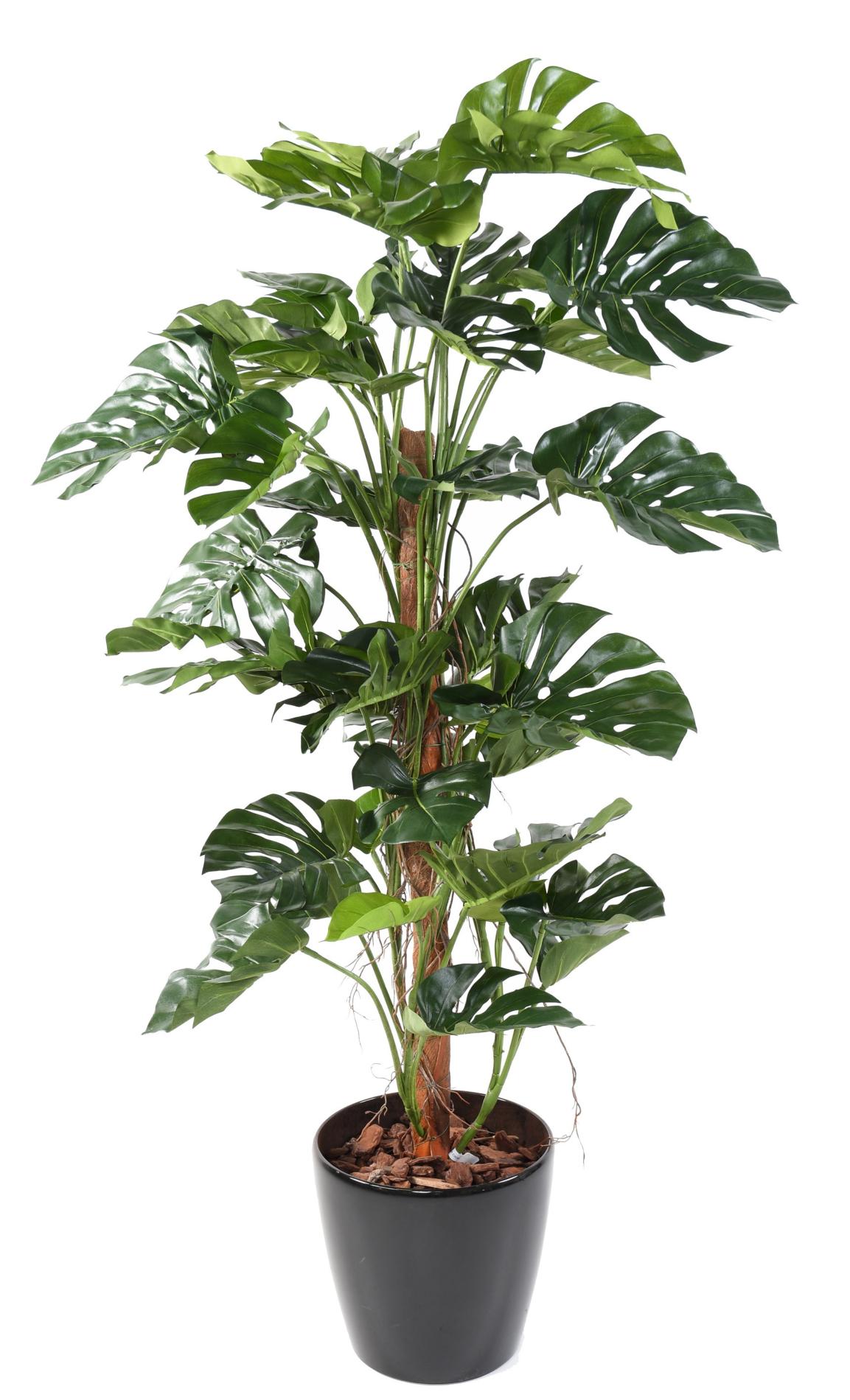 Plante verte artificielle Philodendron tuteur coco - plante d'intérieur - H.160cm