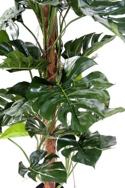 Plante verte artificielle Philodendron tuteur coco - plante d'intérieur - H.160cm