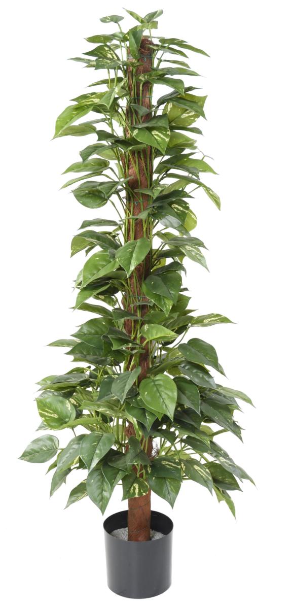 Plante verte artificielle Pothos tuteur - plante d'intérieur - H.130cm