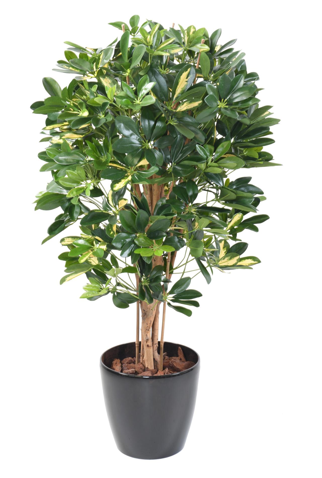 Plante verte artificielle Schefflera - décoration d'intérieur - H.110cm panaché