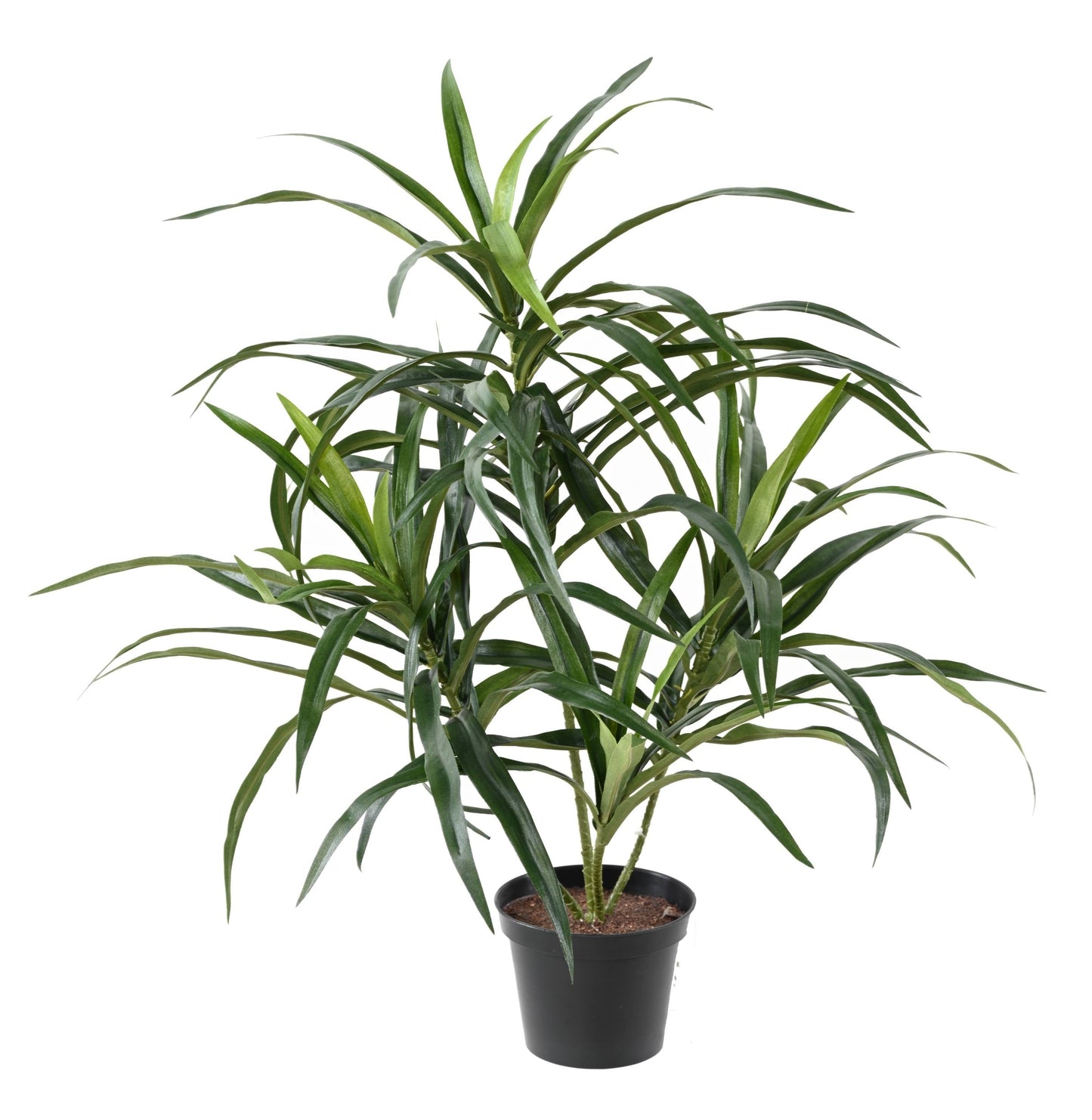 Plante artificielle Dracaena Anita - décoration d'intérieur - H.45cm vert