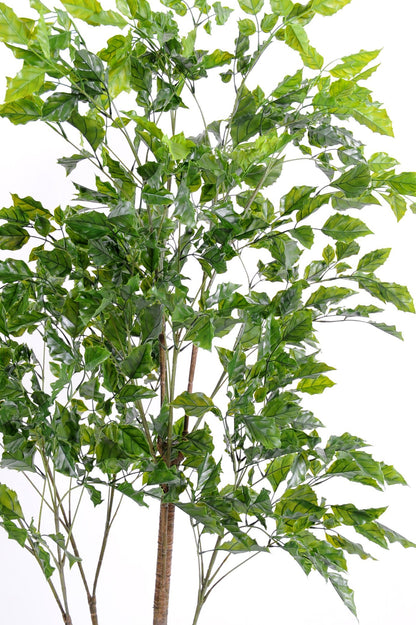 Plante artificielle Palissandre résistant UV - décoration d'extérieur - H.175cm vert