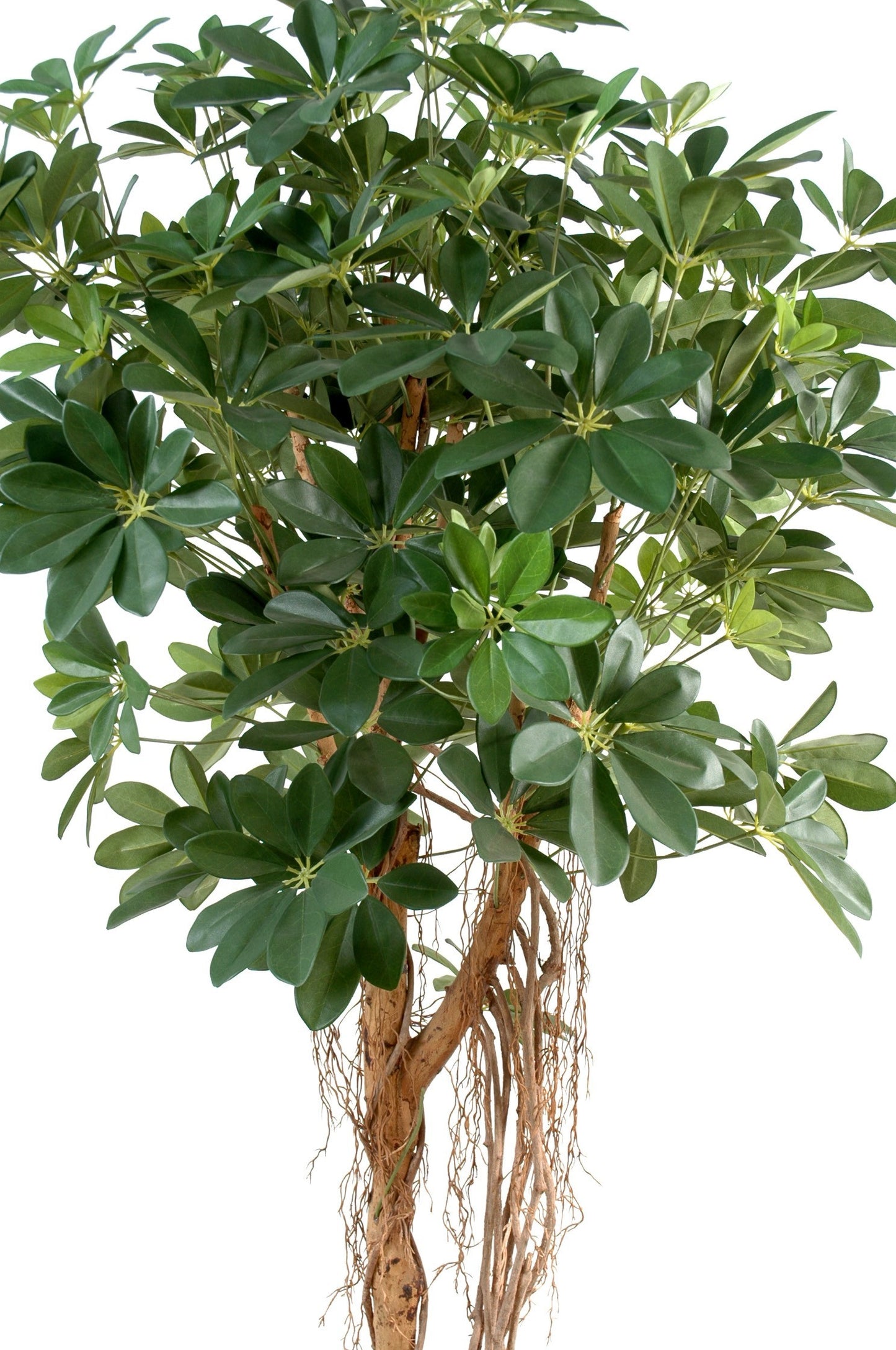 Plante artificielle Schefflera baby tree - décoration d'intérieur - H.150cm vert