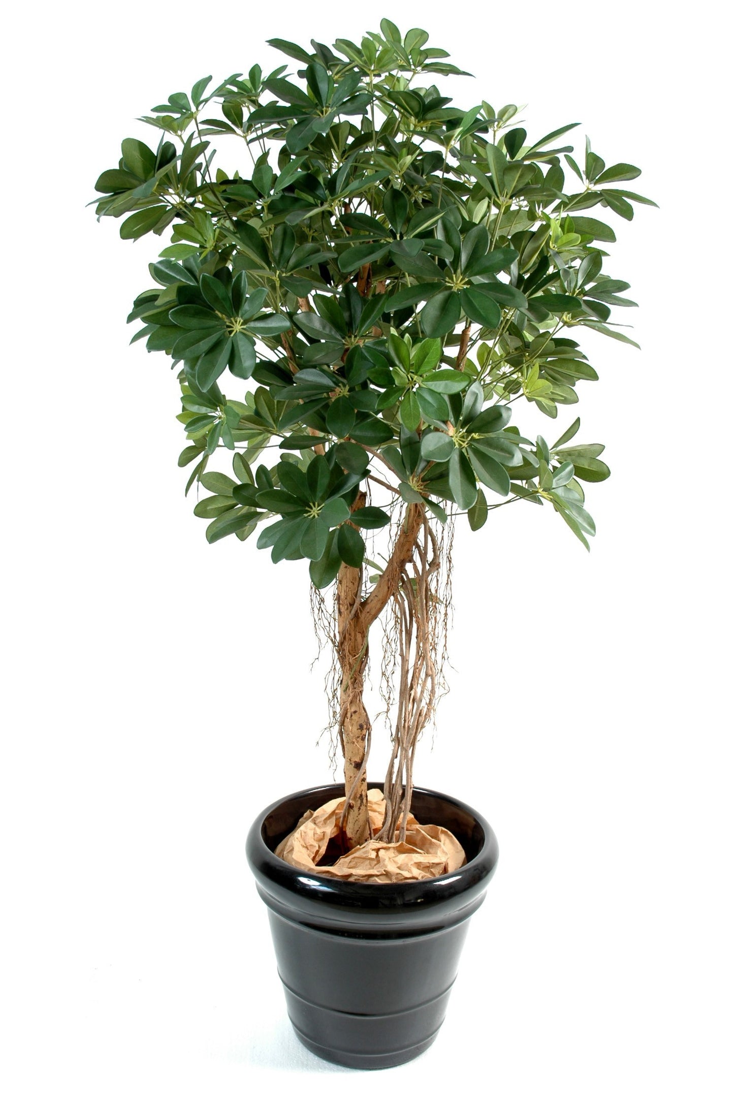 Plante artificielle Schefflera baby tree - décoration d'intérieur - H.150cm vert