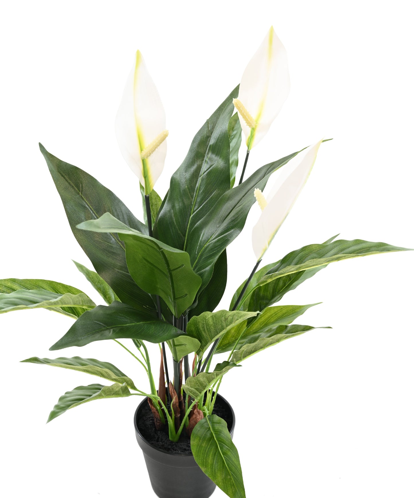 Plante artificielle fleurie Spathiphyllum en pot - décoration d'intérieur - H.50cm