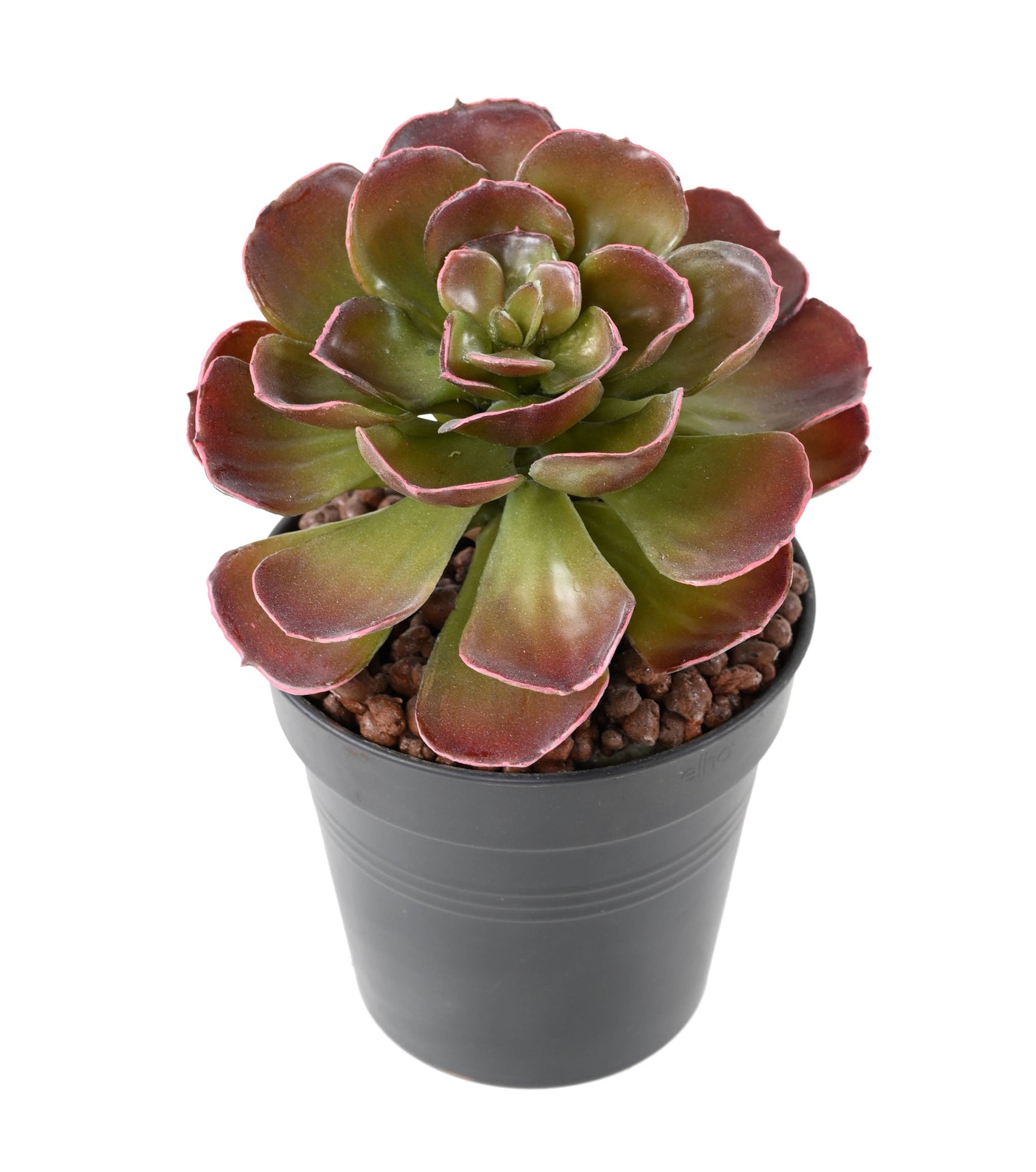 Plante grasse artificielle Crassula Echeveria - cactus en piquet - H.22cm