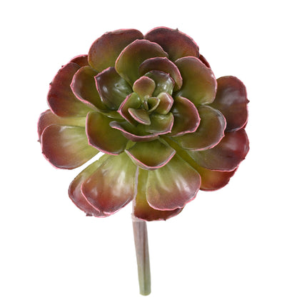 Plante grasse artificielle Crassula Echeveria - cactus en piquet - H.22cm