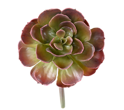 Plante grasse artificielle Crassula Echeveria - cactus en piquet - H.22cm