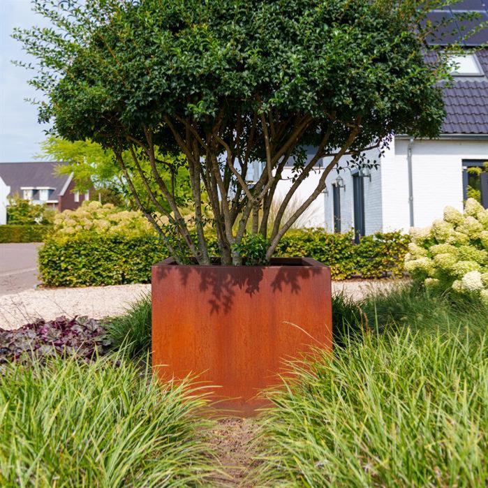 Pot pour fleur bac carré aspect rouillé - intérieur extérieur - L.80xH.40cm Acier Corten